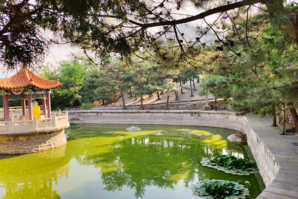佛山陵园景观图