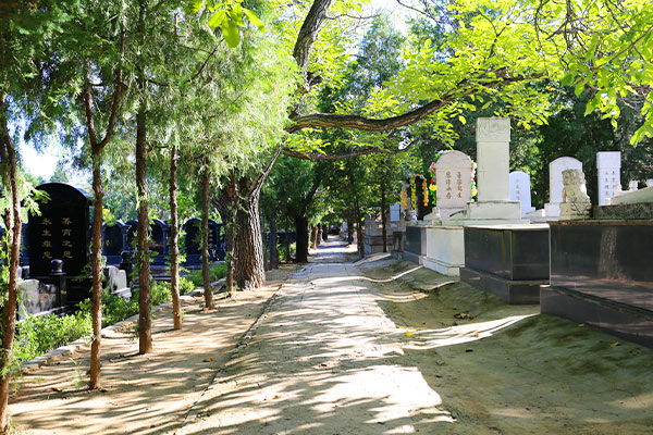华夏陵园景观图