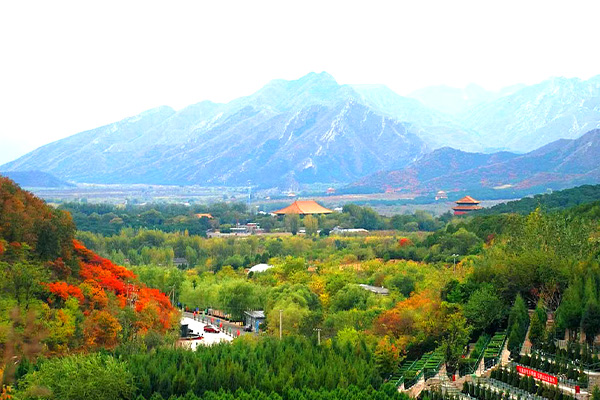 景仰园骨灰林景观图