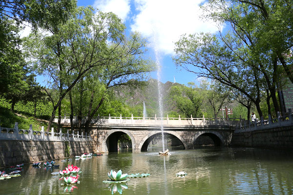 景仰园骨灰林景观图