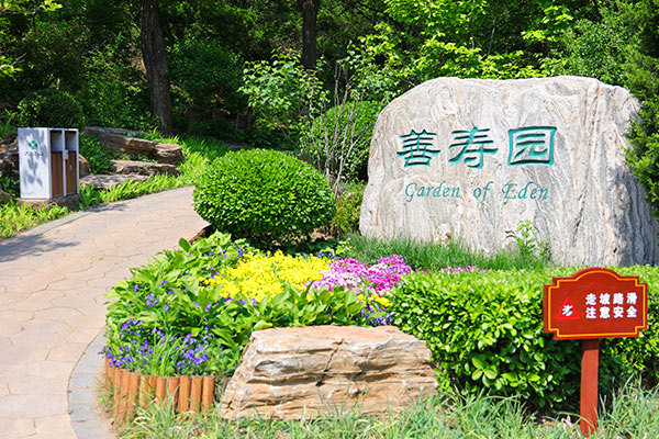 九公山长城纪念林景观图
