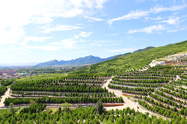 龙泉公墓景观图