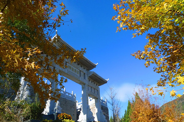 清东陵万佛园景观图