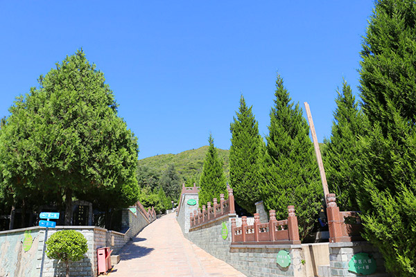 温泉墓园景观图