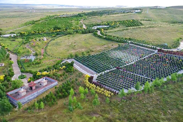 德厚陵园景观图