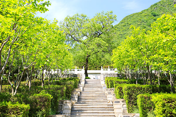 九公山长城纪念林景观图