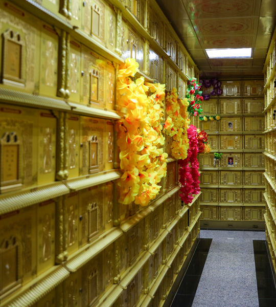 金宝塔普通双人型福位