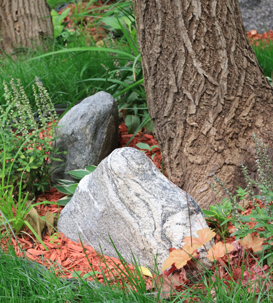 福泽园单穴生态树葬