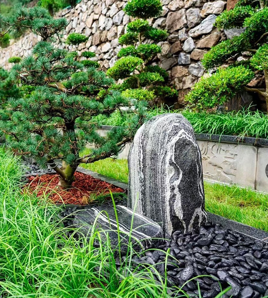 福泽园树葬林隐