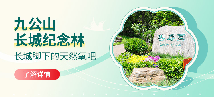 九公山长城纪念林官网
