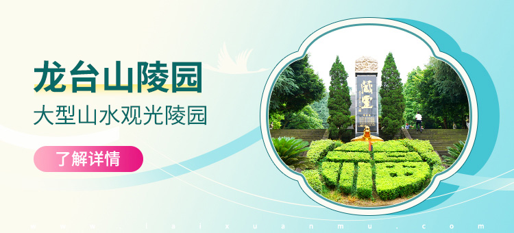 重庆龙台山陵园官网