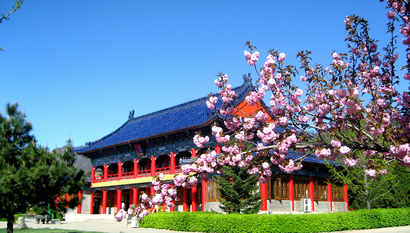 清东陵万佛园景色