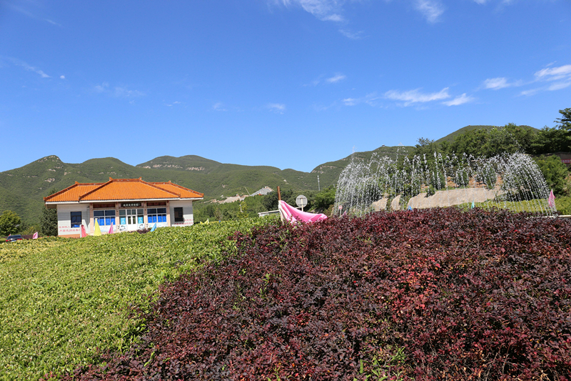 炎黄陵园景色