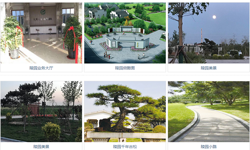 廊坊文安清颐园公墓