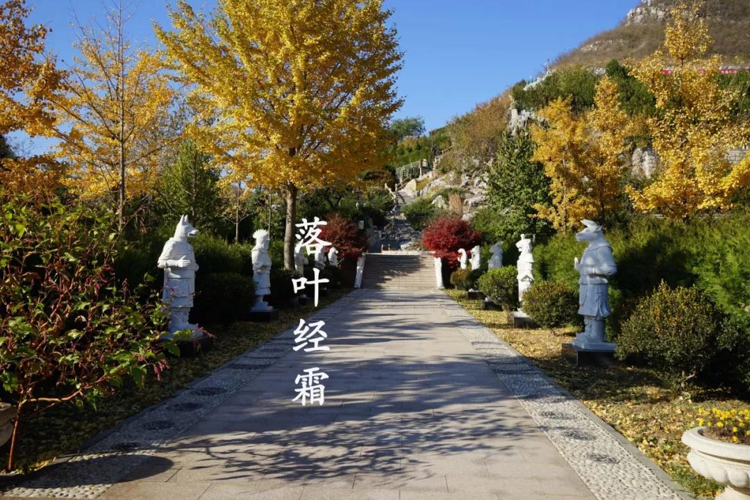 桃峰园