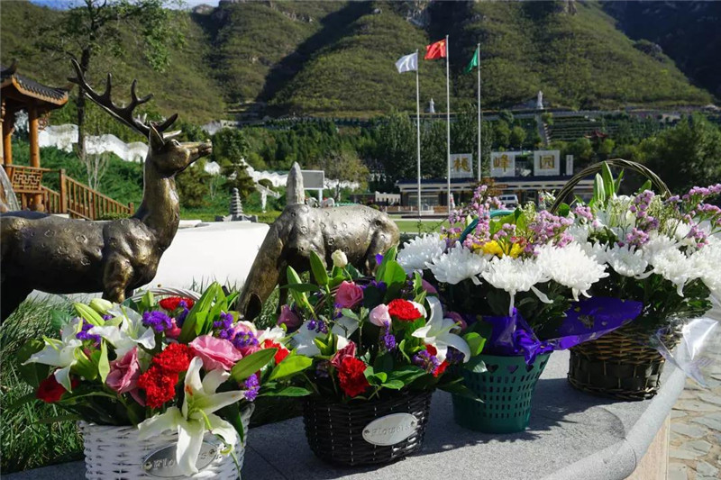 桃峰园平价鲜花