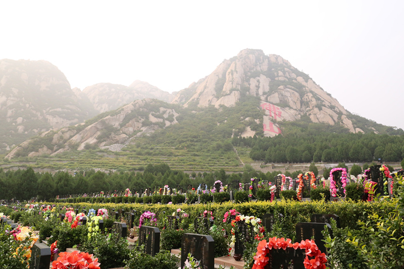 佛山陵园二区墓区景色
