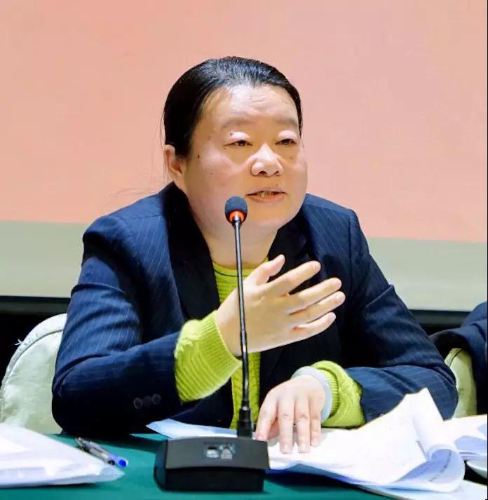 民政部社会事务司副司长范瑜作会议总结发言.jpg
