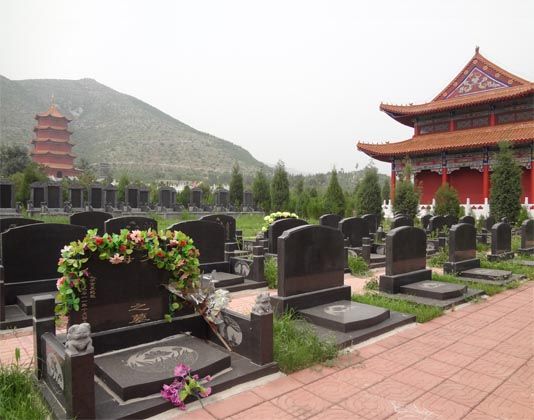 在京西的皇家龙山陵园为丈人挑选墓地