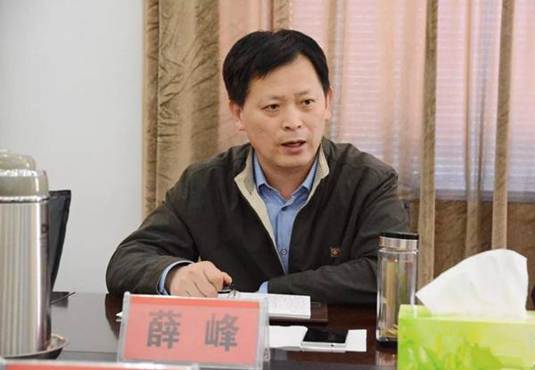 沂水县委书记薛峰