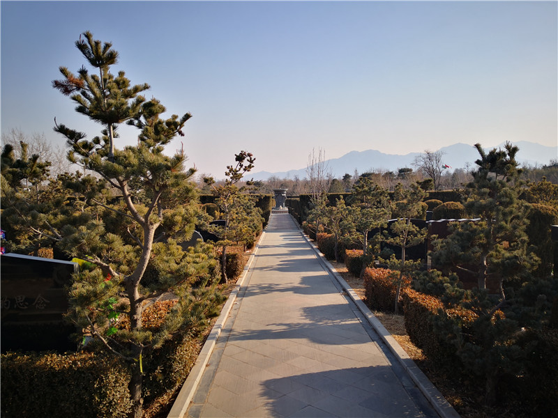 干净整洁的墓区小路