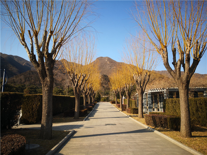 天寿陵园美景