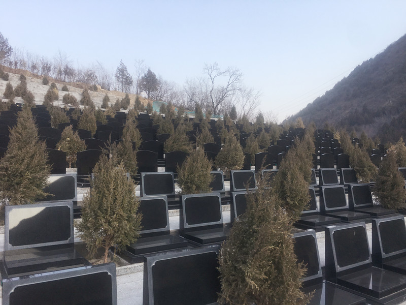 景仰园选中的碑型