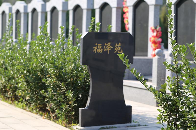 为病重的父亲提前在永福墓园准备好墓穴