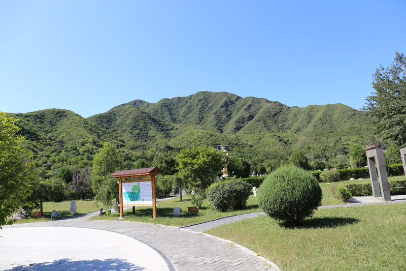 凤凰山陵园景色