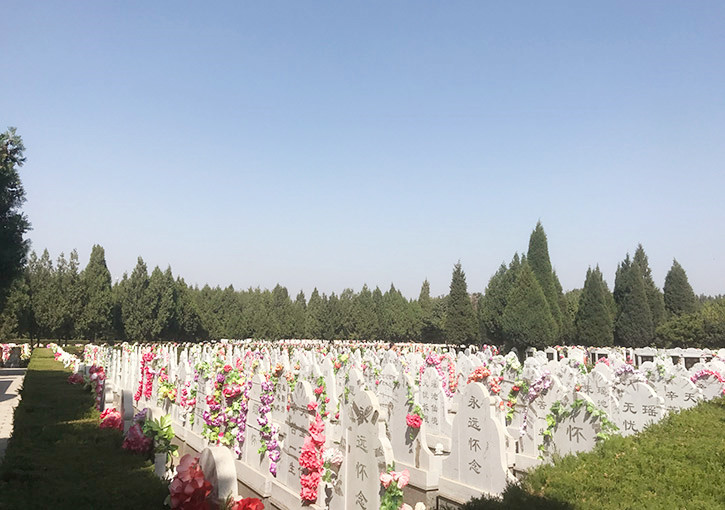 天堂公墓墓区