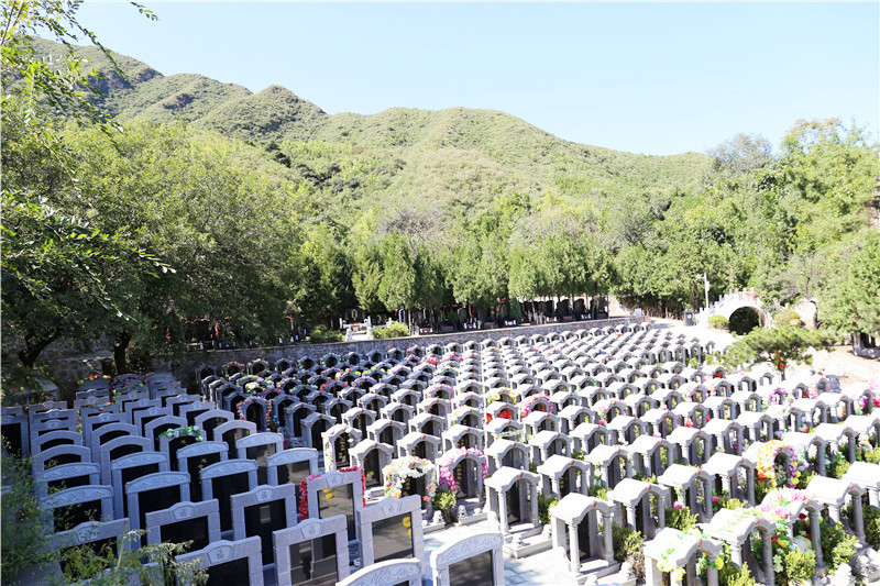 凤凰山陵园墓区环境