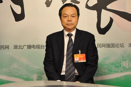 经济学博士张兆安