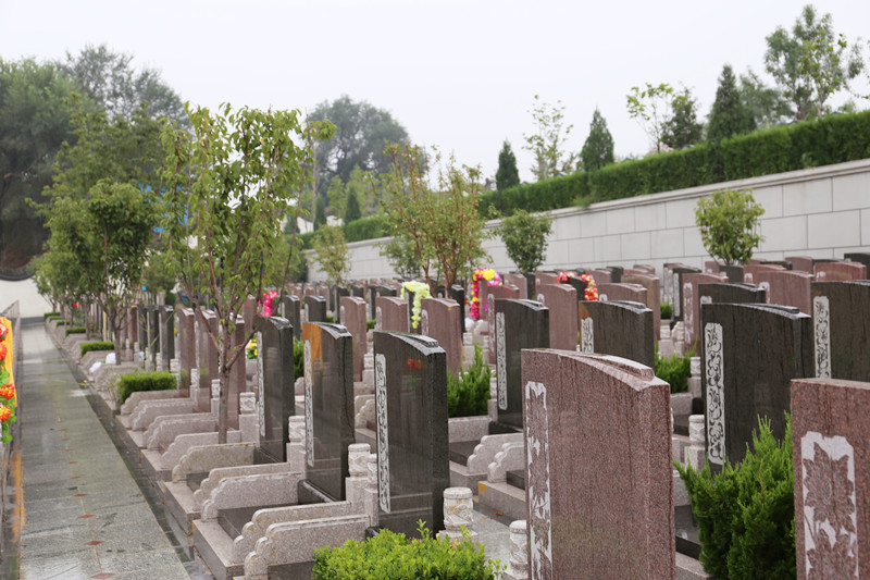 静安墓园紫竹园墓区