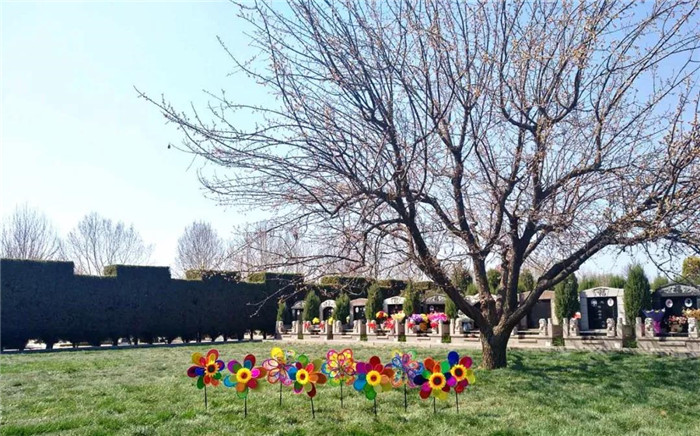 万桐园公墓内
