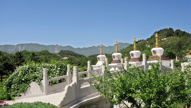 清东陵万佛园环境