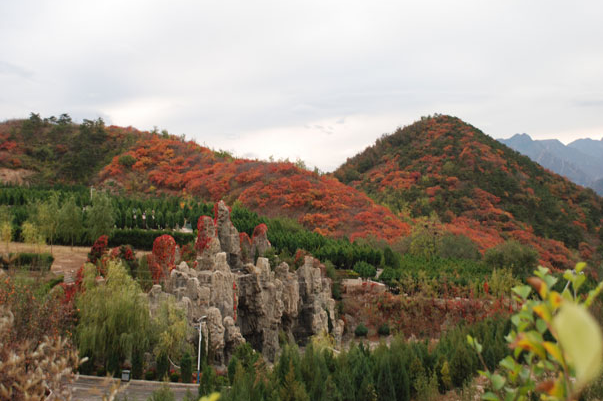 十三陵景仰园景色