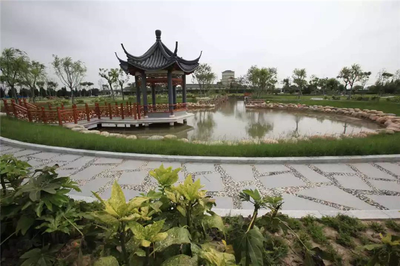 上海松鹤园