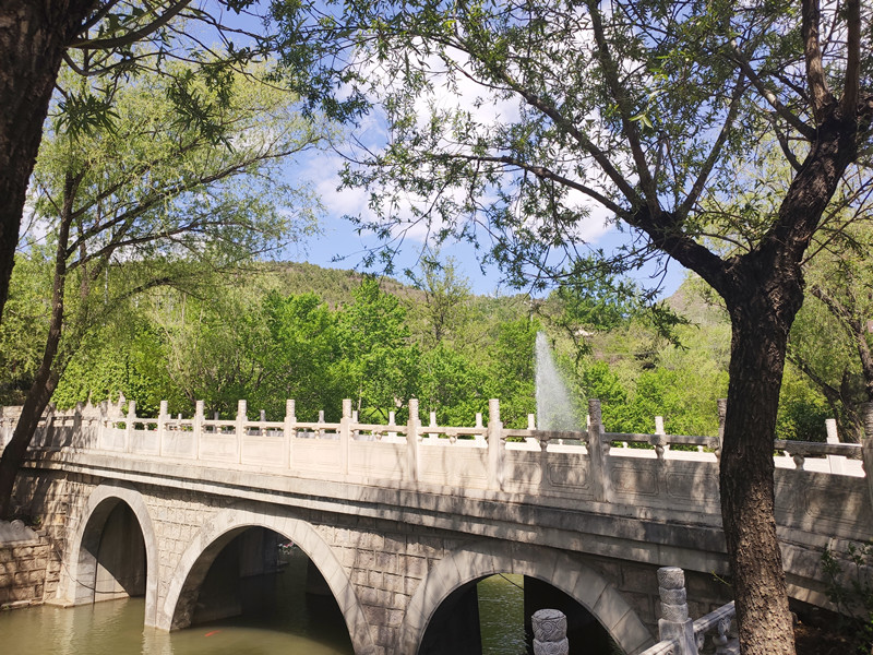 景仰园景色