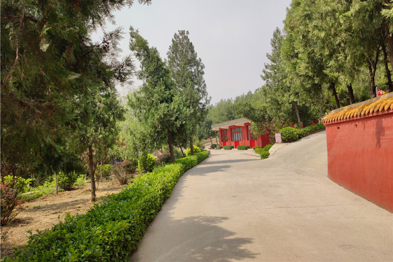 九里山公墓二区园区道路