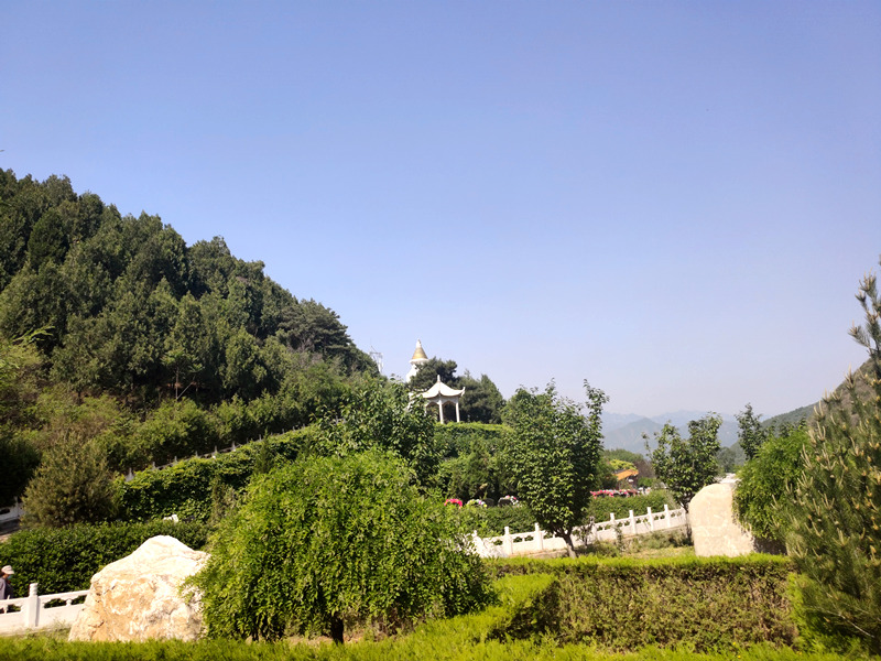 盘龙台环境