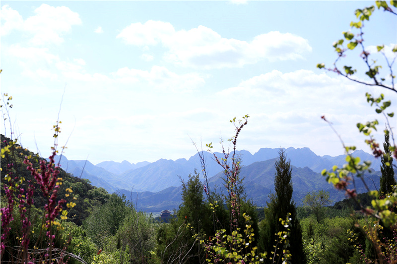 十三陵景仰园山势