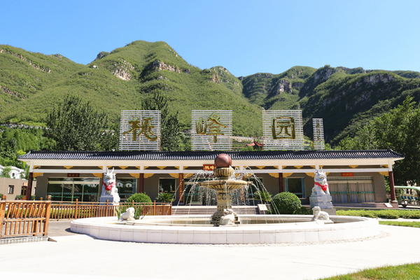 桃峰园