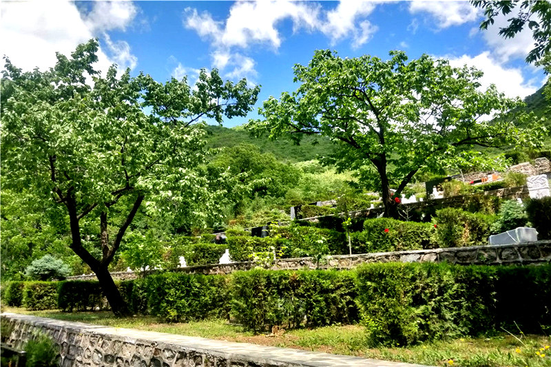 九公山长城纪念林环境