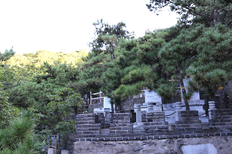 金山公墓墓区