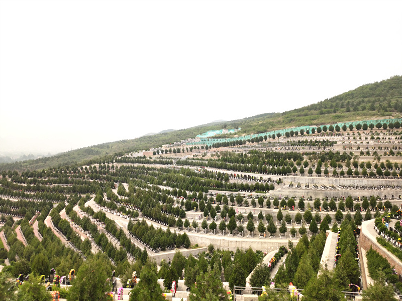 昌平龙泉公墓墓区