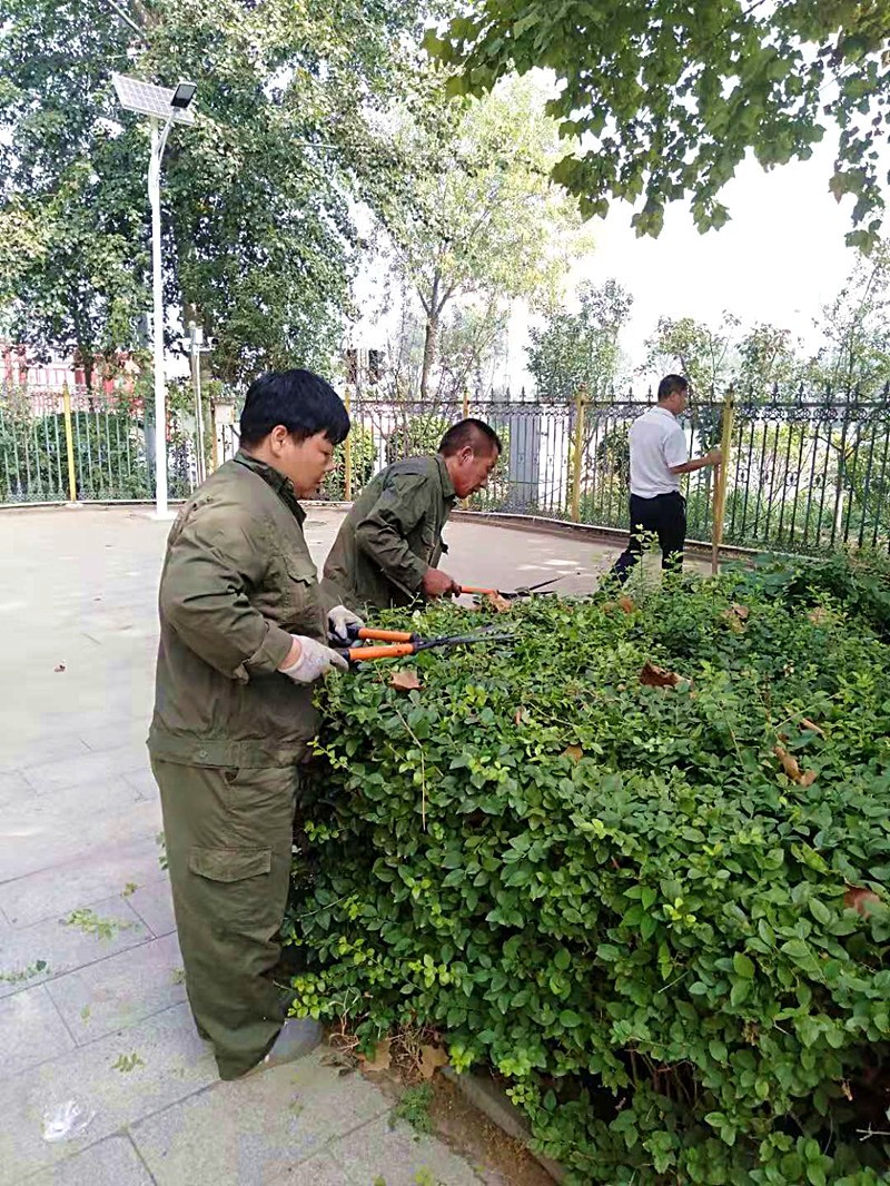 承载温情让爱延续