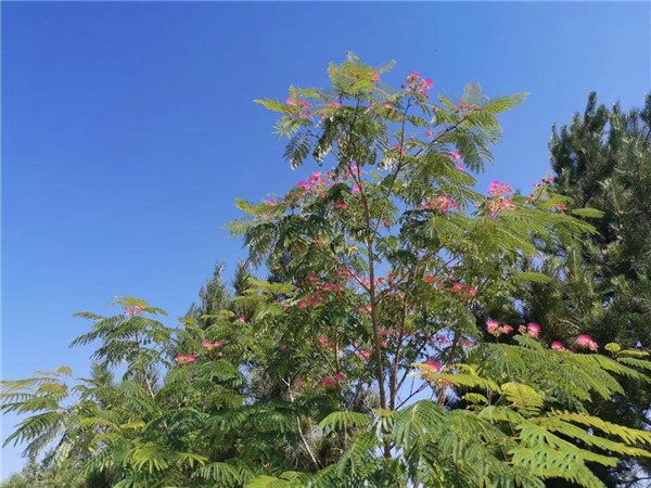 官厅中华永久陵园景观
