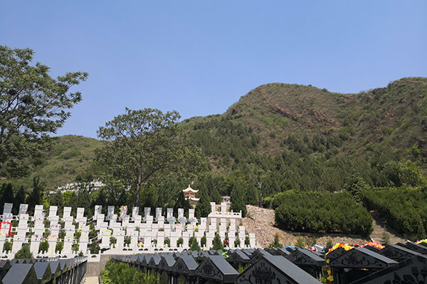 盘龙台墓区