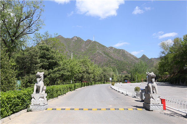 景仰园景观