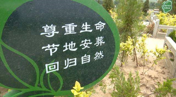 树葬和海葬哪比较好